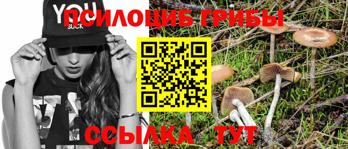 Галлюциногенные грибы Magic Shrooms  Галлюциногенные грибы мицелий  Вход с VPN  Азов 